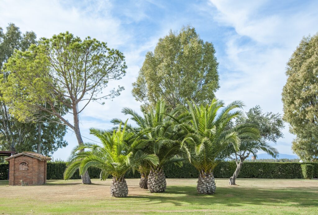 casa vacanza maremma toscana