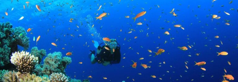 diving maremma toscana