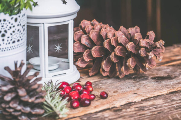 Pranzo di Natale a Grosseto al Ristorante Casa Livia