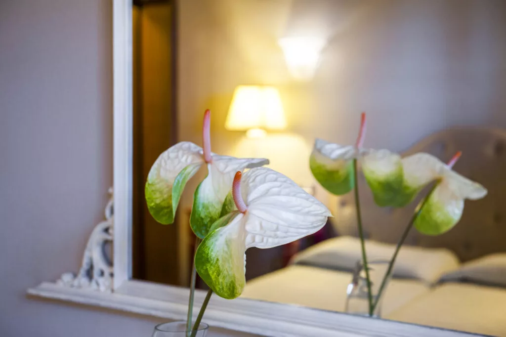 case vacanza in Toscana